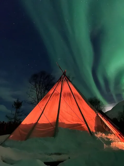 North Experience