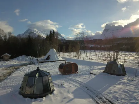 North Experience