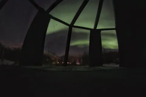 North Experience