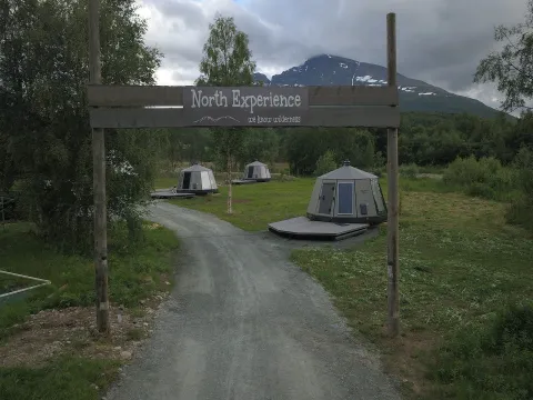 North Experience