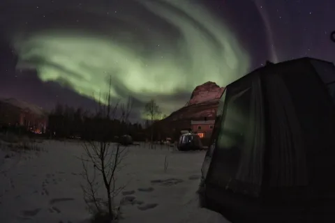 North Experience