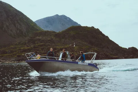 XLyngen