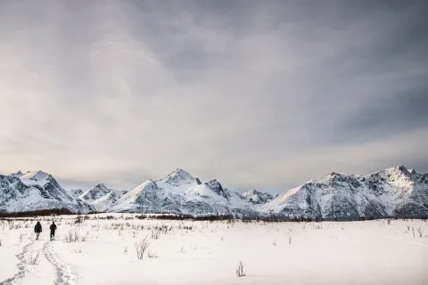 Lyngen North