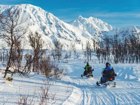 Snøskutersafari i vakre Lyngsalpene - XLyngen