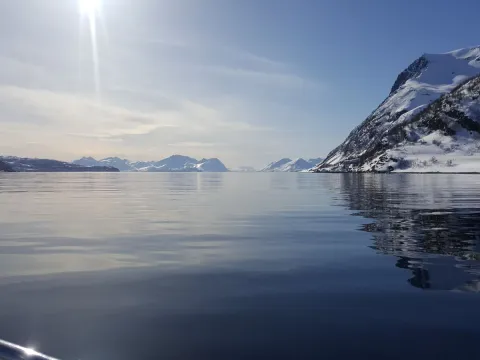 Blikkstille hav en solskinnsdag