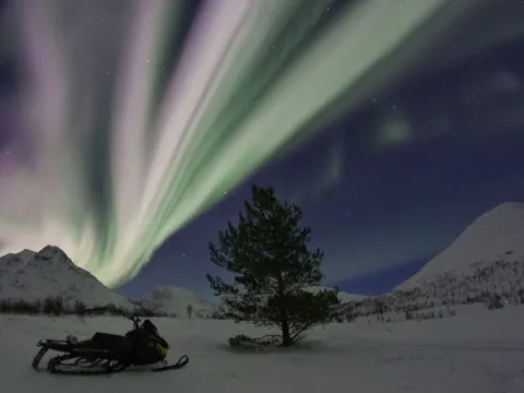 En Snøskutersafari i nordnorsk natur - kveldstur med North Experience