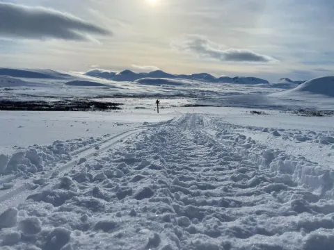 En Snøskutersafari i nordnorsk natur - dagstur med North Experience
