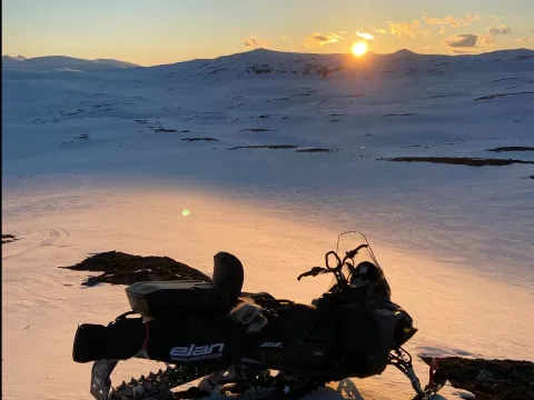 En Snøskutersafari i nordnorsk natur - kveldstur med North Experience