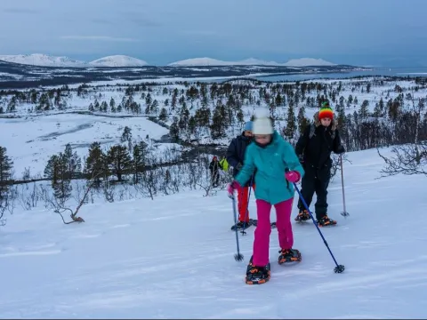 Trugetur i Lyngennatur - Lyngen Safari