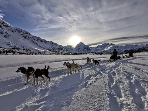 Lyngen Husky Safari