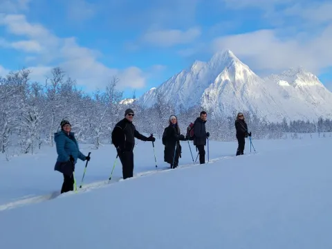 Trugetur i Lyngennatur - Lyngen Safari