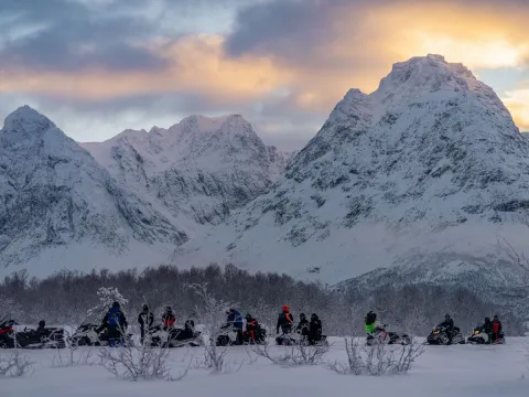 Lyngen Safari - Snowmobile