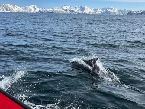 Jøkelfjordbreen - Explore 70 Degrees