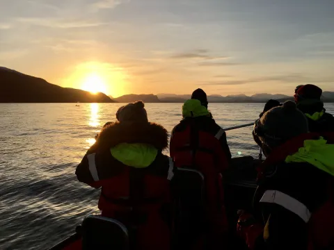 Siluett av personer i en RIB som ser på solnedgangen i horisonten