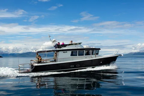 Privat fjordcruise eller fisketur ved Lyngsalpene med Lyngen Experience