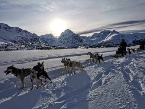 Lyngen Husky Safari - Daytrip from Tromsø