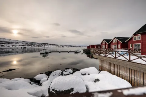 XLyngen